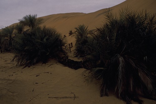 127_アブダビの女性　ＵＡＥ　'88 Ⅱ