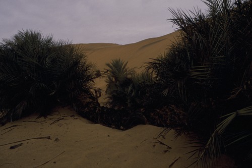 127_アブダビの女性　ＵＡＥ　'88 Ⅱ