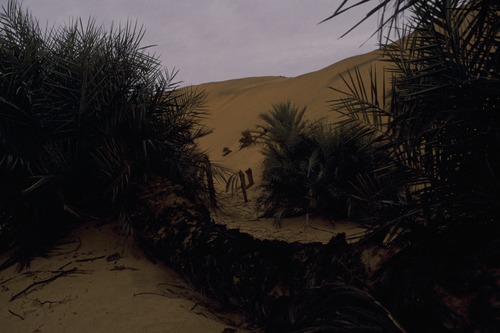 127_アブダビの女性　ＵＡＥ　'88 Ⅱ