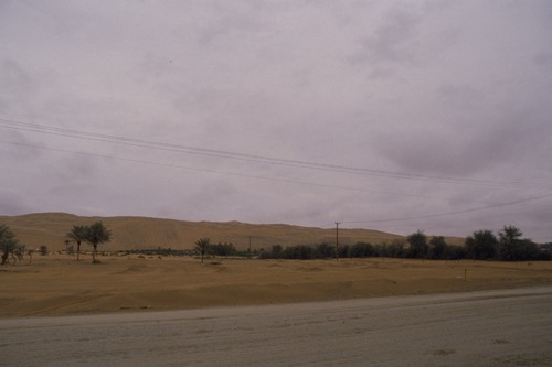 127_アブダビの女性　ＵＡＥ　'88 Ⅱ