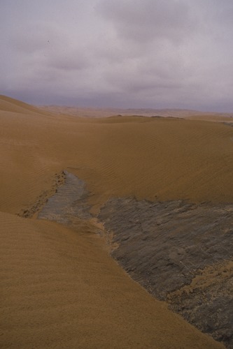 127_アブダビの女性　ＵＡＥ　'88 Ⅱ
