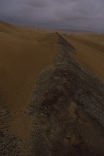 127_アブダビの女性　ＵＡＥ　'88 Ⅱ