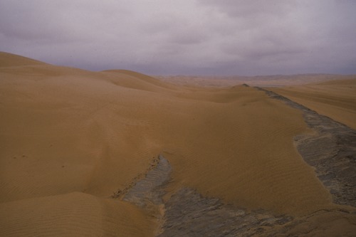 127_アブダビの女性　ＵＡＥ　'88 Ⅱ