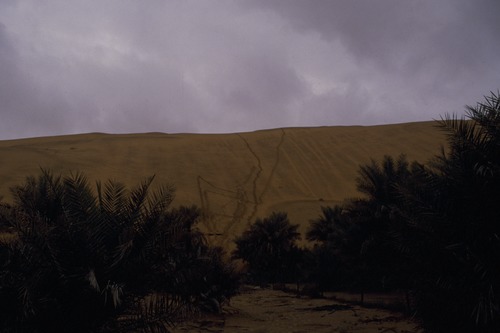127_アブダビの女性　ＵＡＥ　'88 Ⅱ