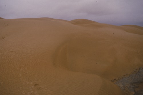 127_アブダビの女性　ＵＡＥ　'88 Ⅱ