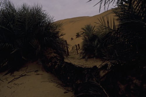 127_アブダビの女性　ＵＡＥ　'88 Ⅱ