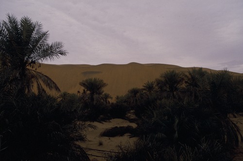 127_アブダビの女性　ＵＡＥ　'88 Ⅱ