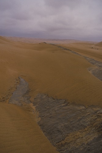 127_アブダビの女性　ＵＡＥ　'88 Ⅱ