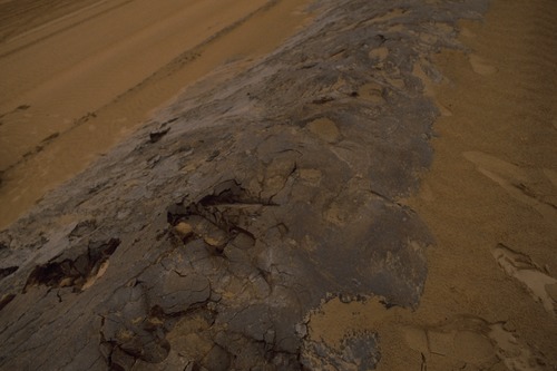 127_アブダビの女性　ＵＡＥ　'88 Ⅱ