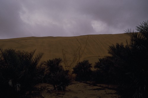 127_アブダビの女性　ＵＡＥ　'88 Ⅱ