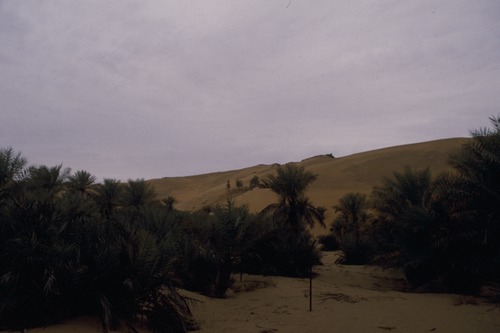 127_アブダビの女性　ＵＡＥ　'88 Ⅱ
