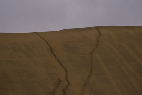 141_ＵＡＥ　'87～89 ④