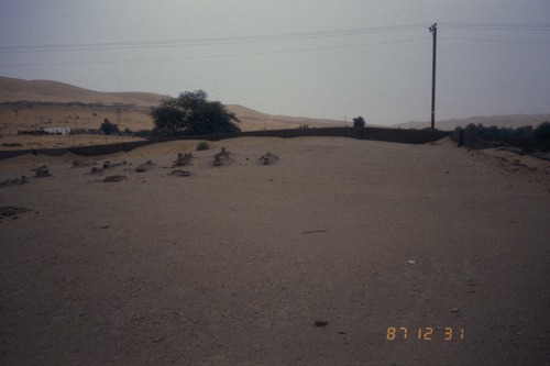 141_ＵＡＥ　'87～89 ④