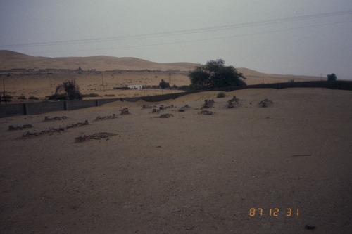 141_ＵＡＥ　'87～89 ④