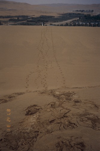 141_ＵＡＥ　'87～89 ④