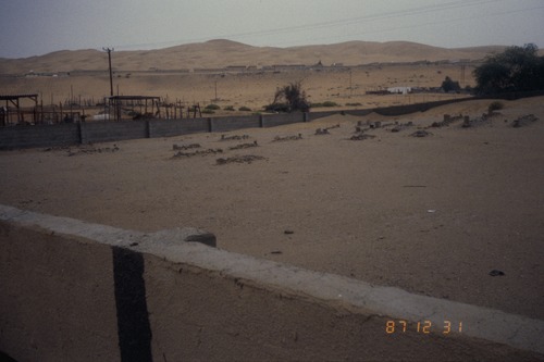 141_ＵＡＥ　'87～89 ④