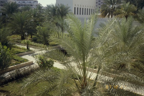 141_ＵＡＥ　'87～89 ④