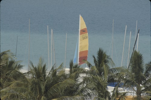193_UAE   '92.2