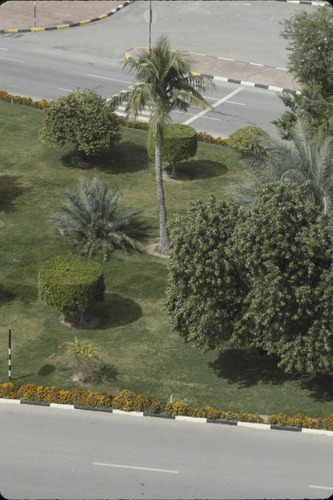193_UAE   '92.2