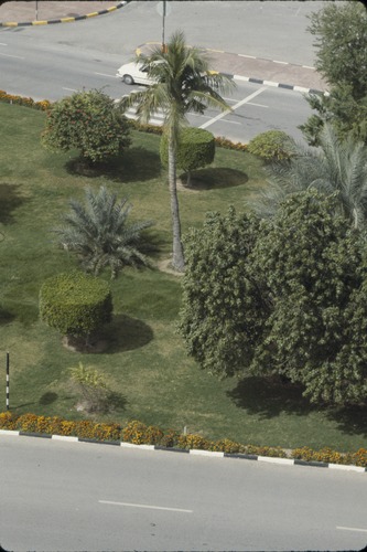 193_UAE   '92.2
