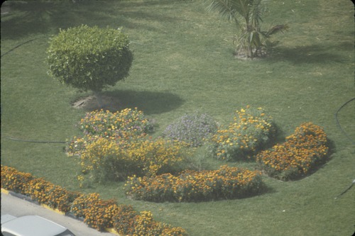 193_UAE   '92.2