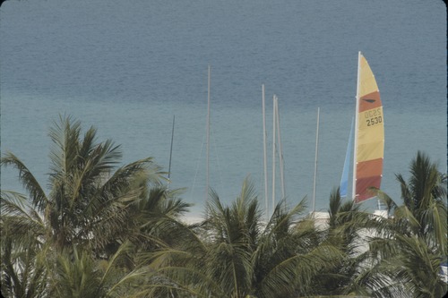 193_UAE   '92.2