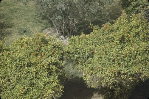 193_UAE   '92.2