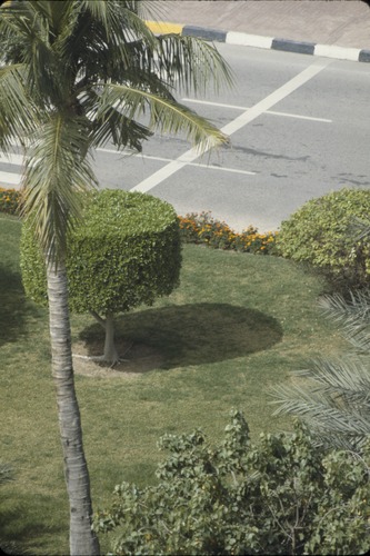 193_UAE   '92.2