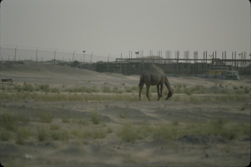 113_ＵＡＥ　'86.12月、'87.7月　Ⅰ