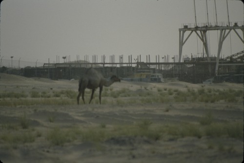 113_ＵＡＥ　'86.12月、'87.7月　Ⅰ
