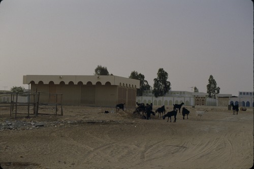 113_ＵＡＥ　'86.12月、'87.7月　Ⅰ