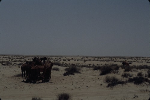 113_ＵＡＥ　'86.12月、'87.7月　Ⅰ