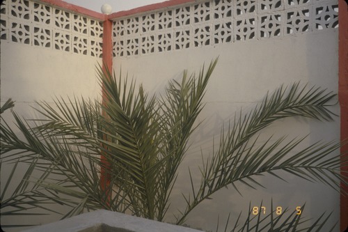 113_ＵＡＥ　'86.12月、'87.7月　Ⅰ