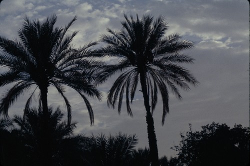 113_ＵＡＥ　'86.12月、'87.7月　Ⅰ