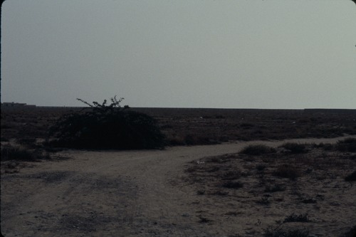 113_ＵＡＥ　'86.12月、'87.7月　Ⅰ