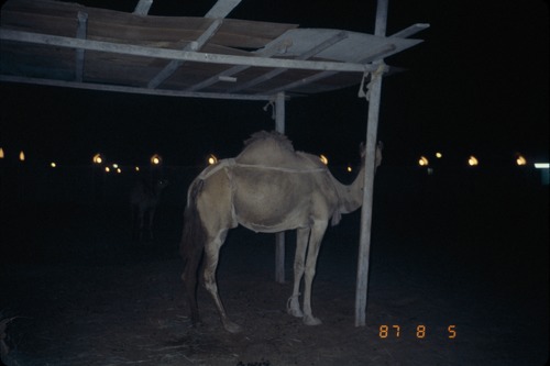 113_ＵＡＥ　'86.12月、'87.7月　Ⅰ