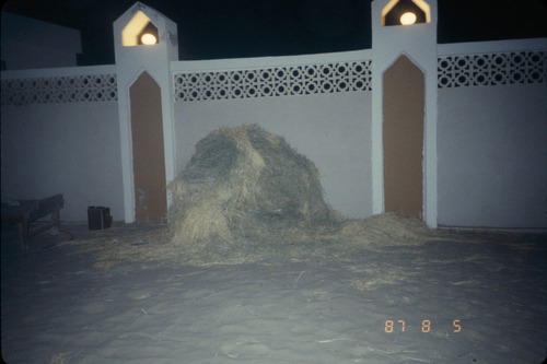 113_ＵＡＥ　'86.12月、'87.7月　Ⅰ