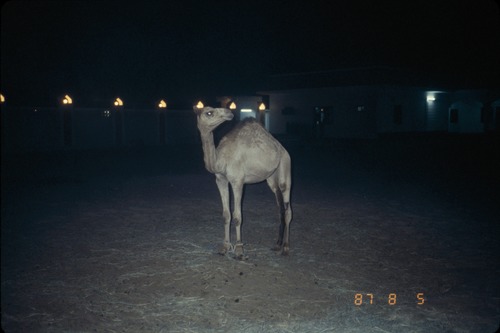 113_ＵＡＥ　'86.12月、'87.7月　Ⅰ