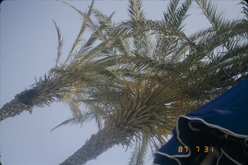 113_ＵＡＥ　'86.12月、'87.7月　Ⅰ