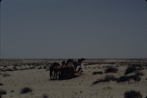 113_ＵＡＥ　'86.12月、'87.7月　Ⅰ
