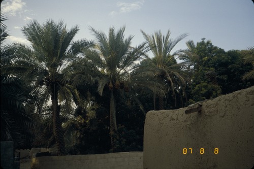 113_ＵＡＥ　'86.12月、'87.7月　Ⅰ