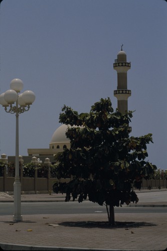 113_ＵＡＥ　'86.12月、'87.7月　Ⅰ