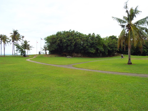 Guam - Aga Tongan (Summer, 2015) - 08:06:2015 - DSCF0458