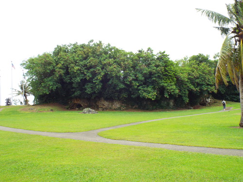 Guam - Aga Tongan (Summer, 2015) - 08:06:2015 - DSCF0459