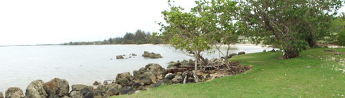 Guam - Aga Tongan (Summer, 2015) - 08:06:2015 - DSCF0487