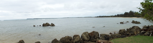 Guam - Aga Tongan (Summer, 2015) - 08:06:2015 - DSCF0488
