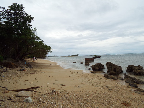 Guam - Aga Tongan (Summer, 2015) - 08:06:2015 - DSCF0490