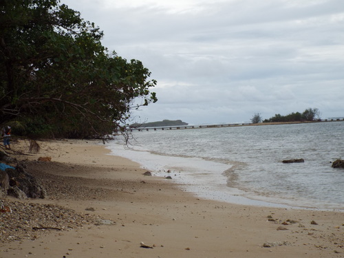 Guam - Aga Tongan (Summer, 2015) - 08:06:2015 - DSCF0491
