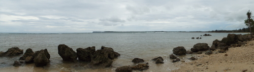 Guam - Aga Tongan (Summer, 2015) - 08:06:2015 - DSCF0493