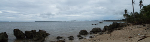 Guam - Aga Tongan (Summer, 2015) - 08:06:2015 - DSCF0494